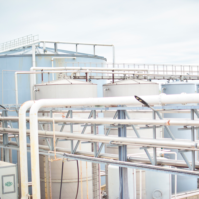 Imagen de la galería 3