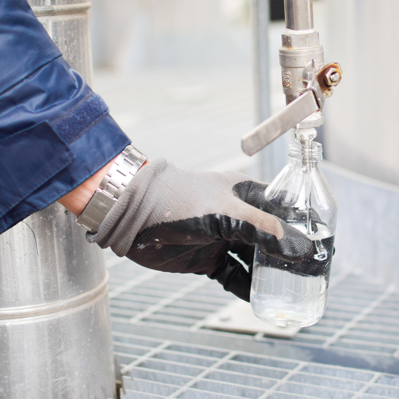 Imagen de la galería 4